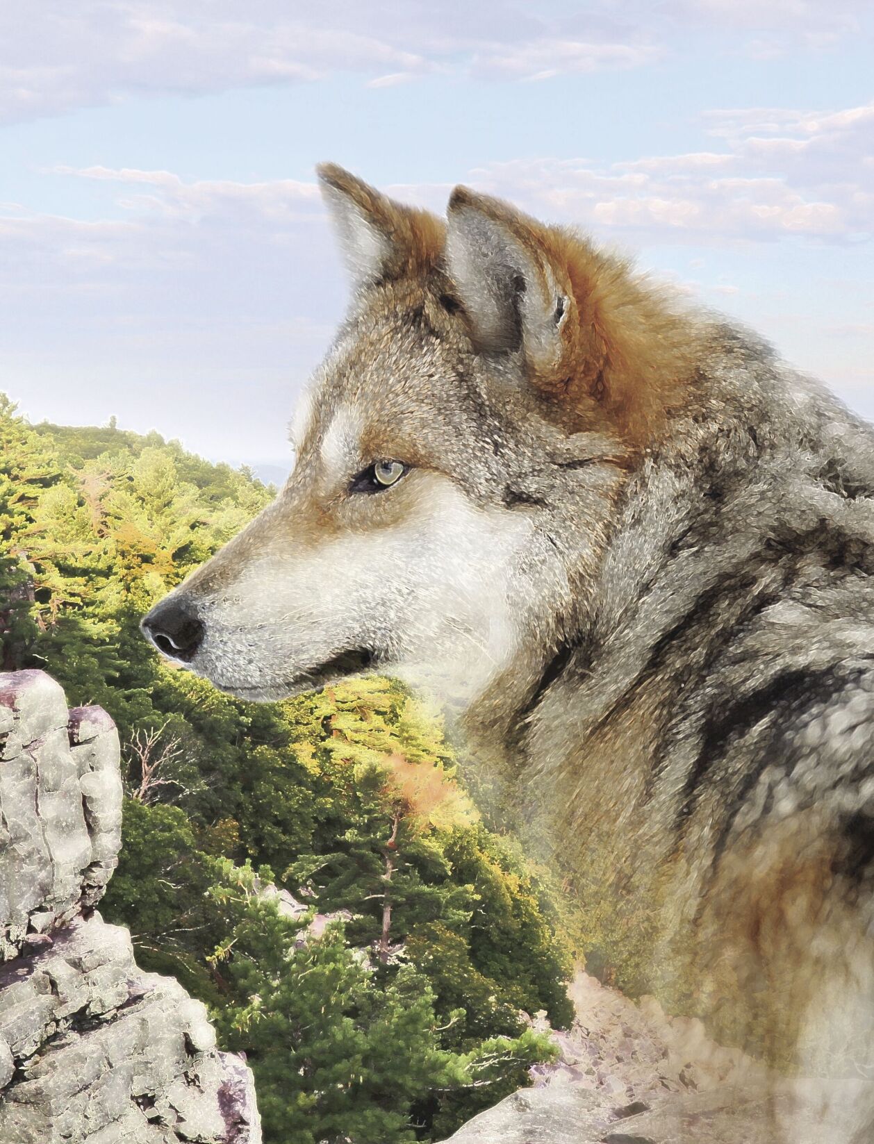 wolves intro image 3 MKE.tif